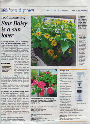 Lianhe Zaobao Weekend (zbW), 16 June 2011, Page 32.